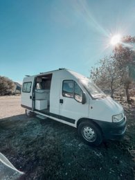 Kastenwagen Iveco  zu vermieten in Vinalesa