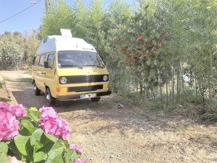 Campingbus Volkswagen Westfalia "SOL" T3/T25 zu vermieten in Faro