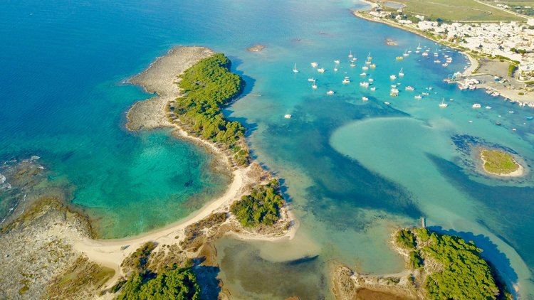 Aluguer de Campervan