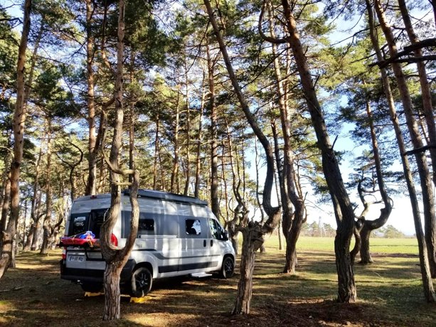 Rental Converted van