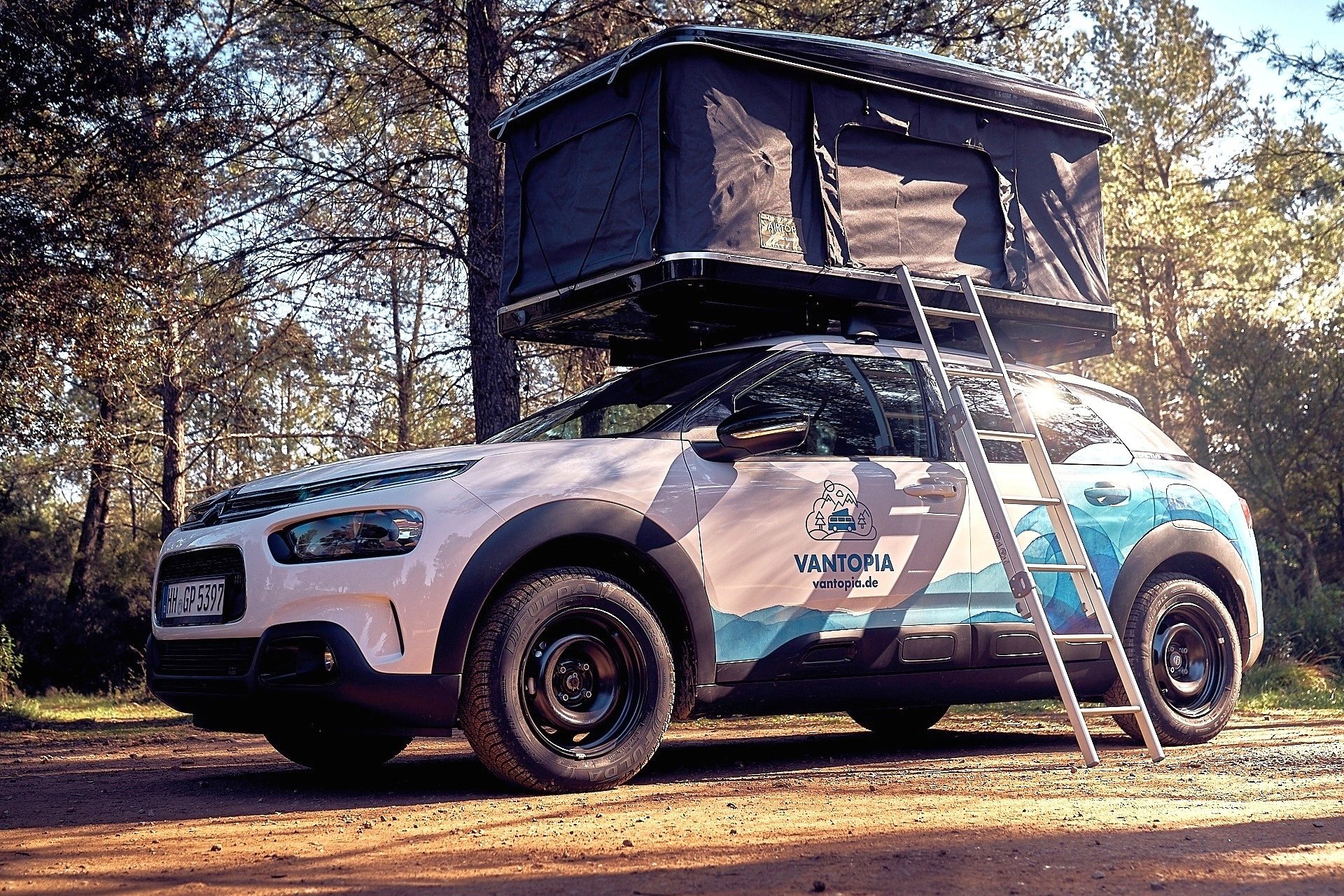 citroen c4 cactus bike rack