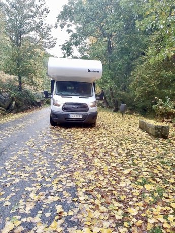 Rental Coachbuilt motorhome