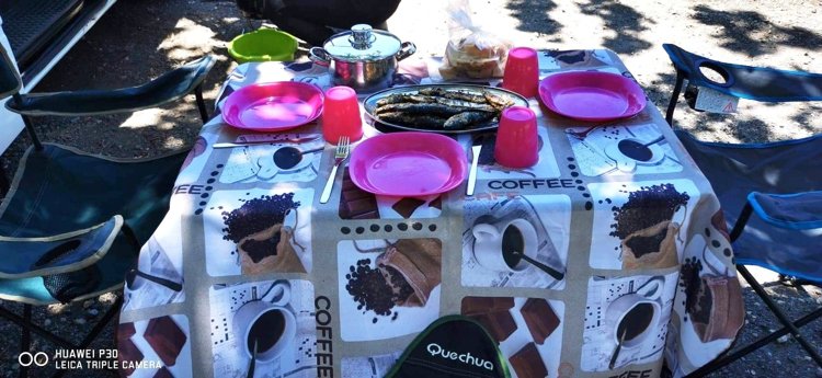 Rental Converted van