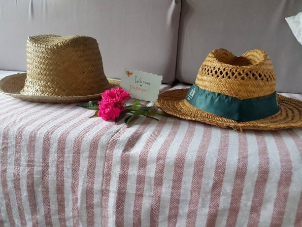 Alquiler de la Furgoneta camper