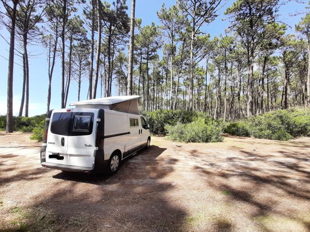 Rental Converted van