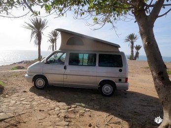 Van Westfalia California en location à Salignac-Eyvigues