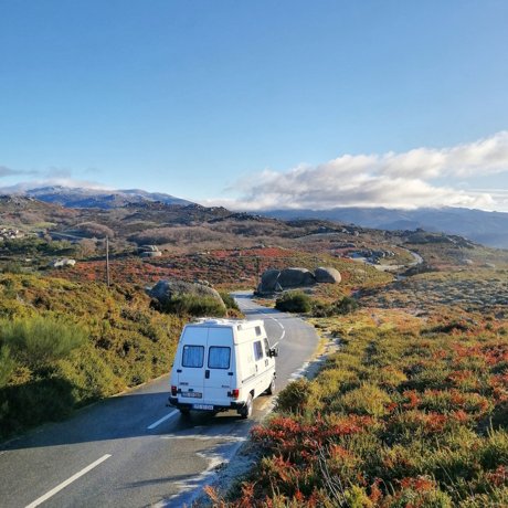 Rental Campervan
