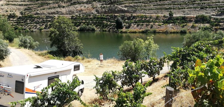 Rental Coachbuilt motorhome