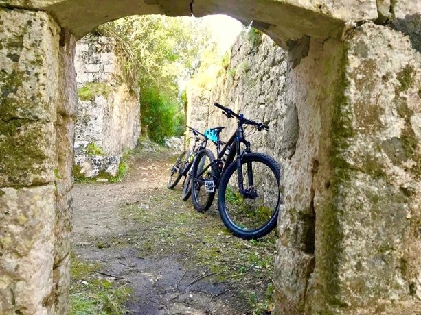 Aluguer de Campervan