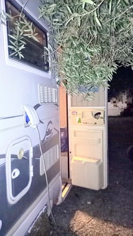 Rental Low profile motorhome