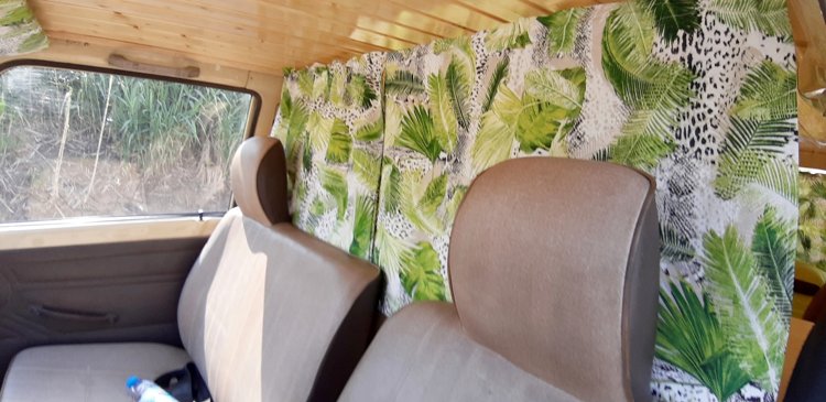 Rental Campervan