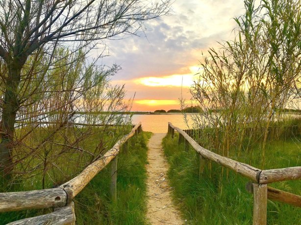 Aluguer de Campervan