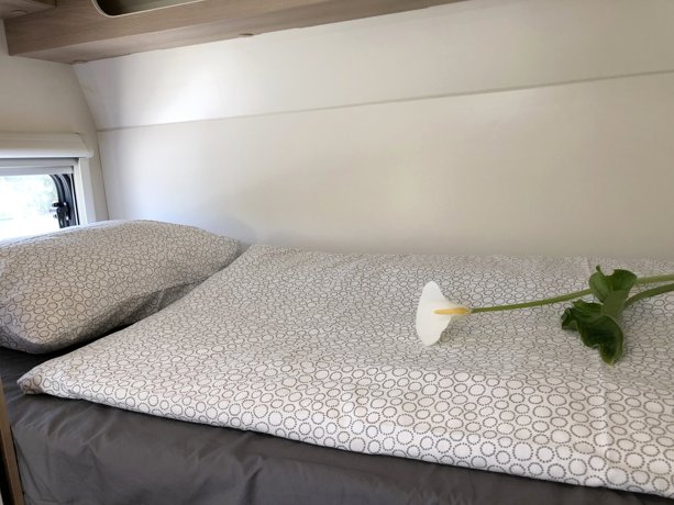 Rental Coachbuilt motorhome