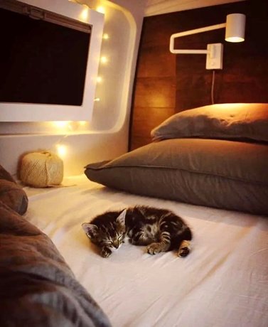 Vermietung von Kastenwagen