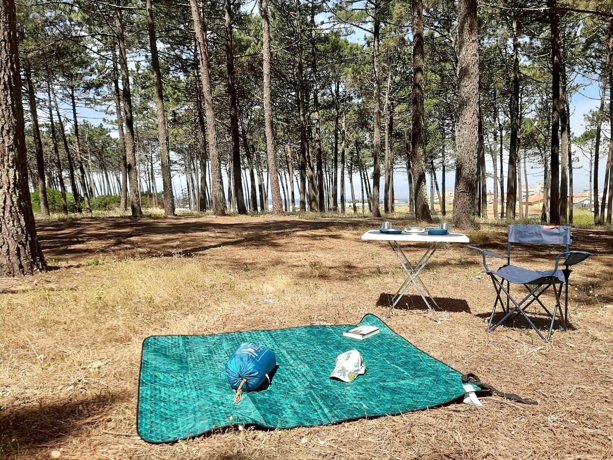 Rental Converted van