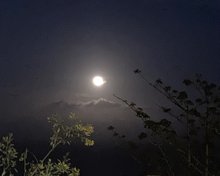 Foto de Pedro