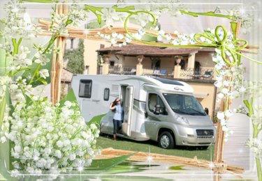 Autocaravana Perfilada CI Xl S En alquiler en Stekene