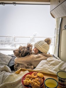 Campervan rental - Miguel