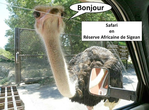 Location du Camping-car Capucine