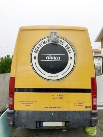 Vermietung von Kastenwagen