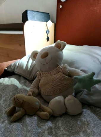 Rental Coachbuilt motorhome