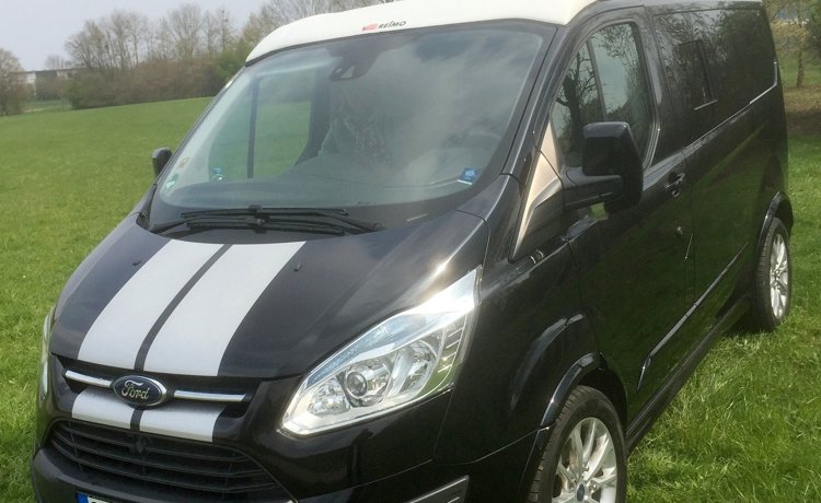 Model Ford Transit Custom Sport