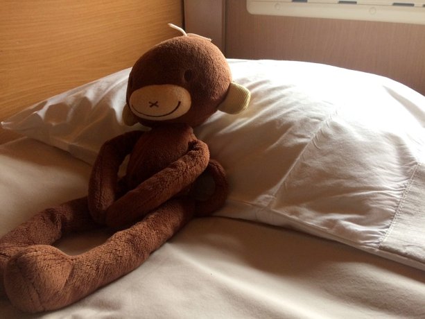 Aluguer de Autocaravana Integral