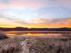 Converted van rental - Ange-Tropez